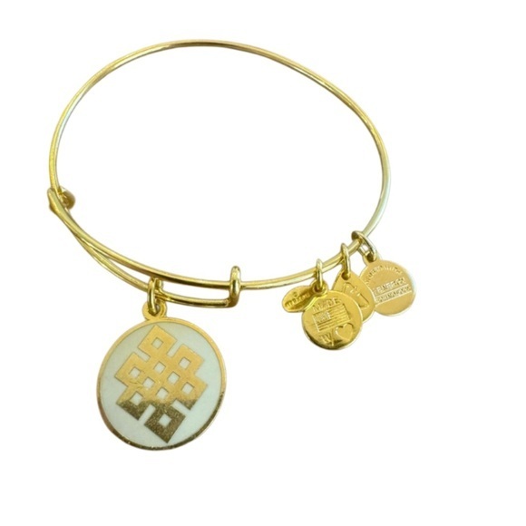 Alex and Ani Jewelry - Alex and Ani Endless Knot Energy Bracelet